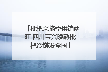 枇杷采摘季供销两旺 四川宝兴晚熟枇杷冷链发全国